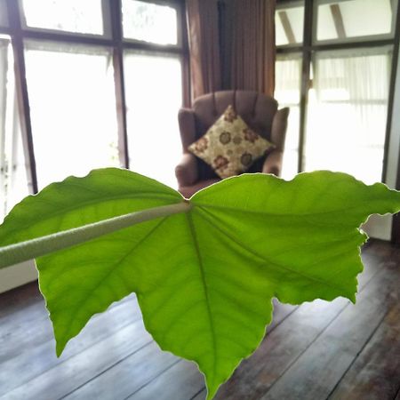 Rumah Pakankamih Bukittinggi Exterior foto
